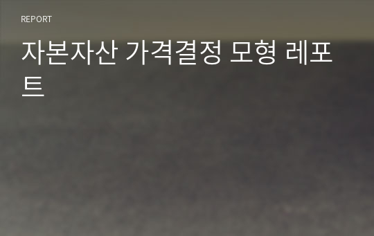 자본자산 가격결정 모형 레포트