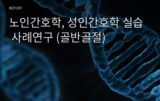 노인간호학, 성인간호학 실습 사례연구 (골반골절)