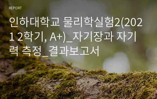 인하대학교 물리학실험2(2021 2학기, A+)_자기장과 자기력 측정_결과보고서