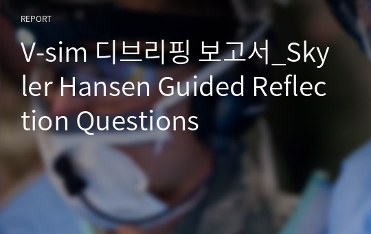 V-sim 디브리핑 보고서_Skyler Hansen Guided Reflection Questions