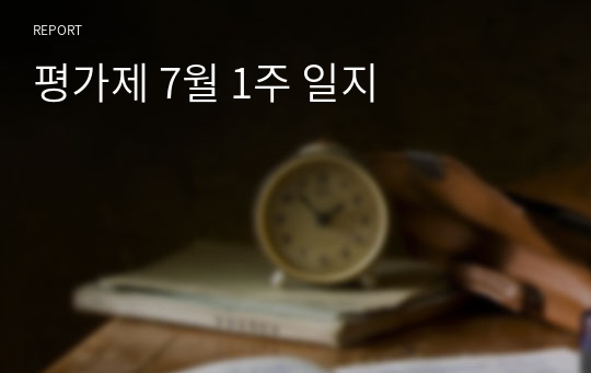 평가제 7월 1주 일지