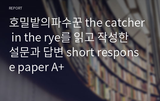 호밀밭의파수꾼 the catcher in the rye를 읽고 작성한 설문과 답변 short response paper A+