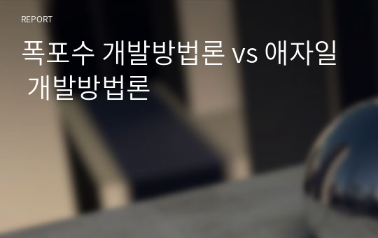 폭포수 개발방법론 vs 애자일 개발방법론