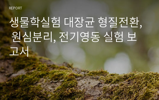 생물학실험 대장균 형질전환, 원심분리, 전기영동 실험 보고서