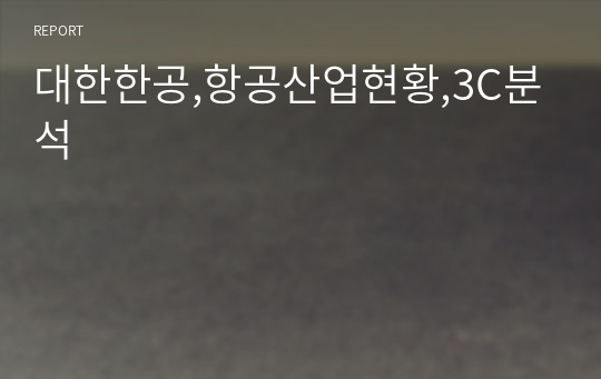 대한한공,항공산업현황,3C분석