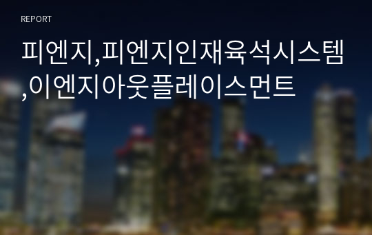 피엔지,피엔지인재육석시스템,이엔지아웃플레이스먼트