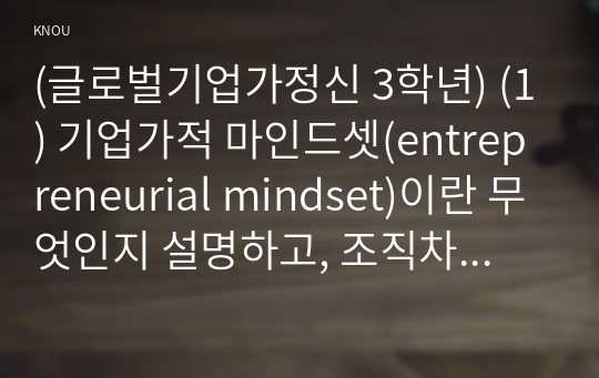 (글로벌기업가정신 3학년) (1) 기업가적 마인드셋(entrepreneurial mindset)이란 무엇인지 설명하고, 조직차원 마인드셋의 주요소와 개인차원 마인드셋의 주요소가 무엇인지 설명하시오