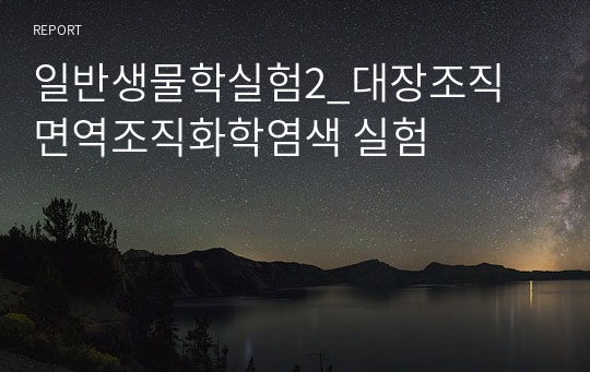 일반생물학실험2_대장조직 면역조직화학염색 실험