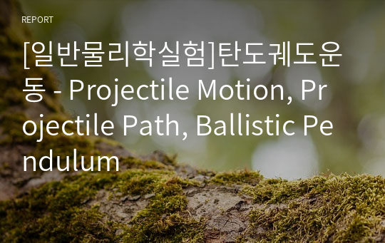 [일반물리학실험]탄도궤도운동 - Projectile Motion, Projectile Path, Ballistic Pendulum