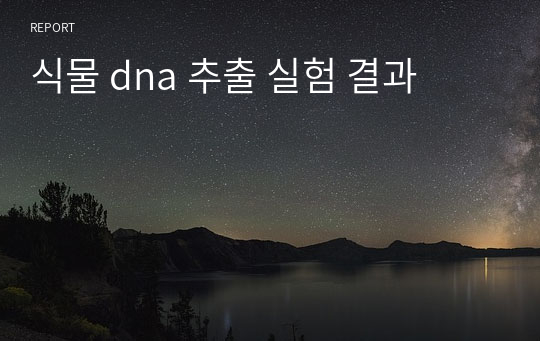 식물 dna 추출 실험 결과