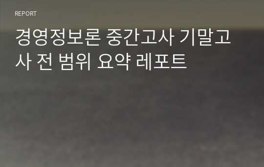 경영정보론 중간고사 기말고사 전 범위 요약 레포트