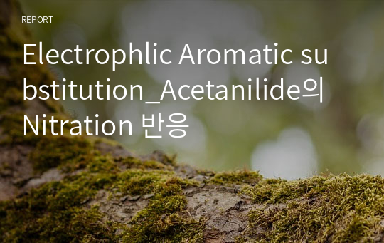 Electrophlic Aromatic substitution_Acetanilide의 Nitration 반응