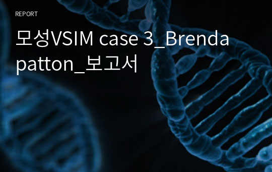 모성VSIM case 3_Brenda patton_보고서