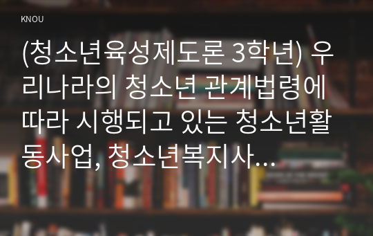 (청소년육성제도론 3학년) 우리나라의 청소년 관계법령에 따라 시행되고 있는 청소년활동사업, 청소년복지사업, 청소년보호사업을 각각 1가지씩 선정하여, 해당 사업들에 대한 탐색보고서를 작성하시오