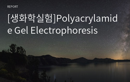 [생화학실험]Polyacrylamide Gel Electrophoresis