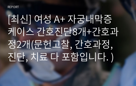 [최신] 여성 A+ 자궁내막증 케이스 간호진단8개+간호과정2개(문헌고찰, 간호과정, 진단, 치료 다 포함입니다. )