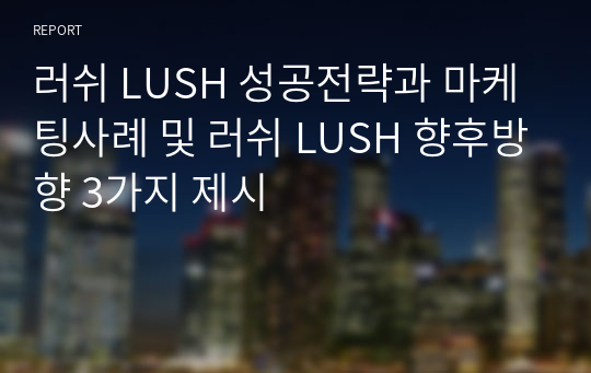러쉬 LUSH 성공전략과 마케팅사례 및 러쉬 LUSH 향후방향 3가지 제시