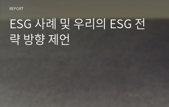 ESG 사례 및 우리의 ESG 전략 방향 제언