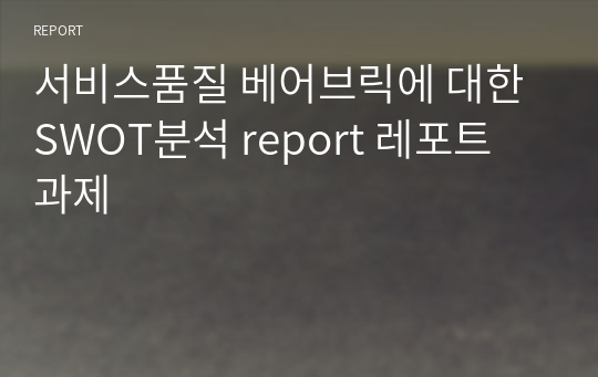 서비스품질 베어브릭에 대한 SWOT분석 report 레포트 과제