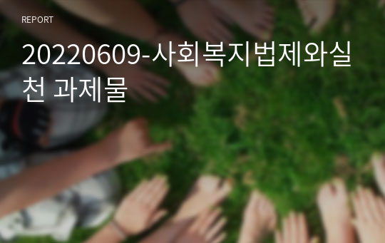 20220609-사회복지법제와실천 과제물