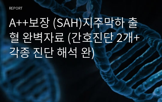 A++보장 (SAH)지주막하 출혈 완벽자료 (간호진단 2개+각종 진단 해석 완)