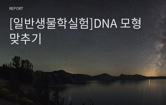 [일반생물학실험]DNA 모형 맞추기