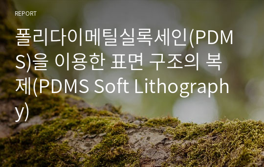 폴리다이메틸실록세인(PDMS)을 이용한 표면 구조의 복제(PDMS Soft Lithography)