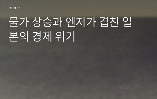 물가 상승과 엔저가 겹친 일본의 경제 위기