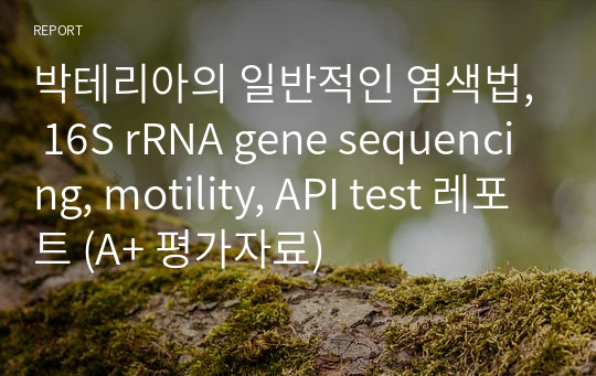 박테리아의 일반적인 염색법, 16S rRNA gene sequencing, motility, API test 레포트 (A+ 평가자료)