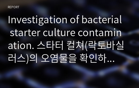 Investigation of bacterial starter culture contamination. 스타터 컬쳐(락토바실러스)의 오염물을 확인하는 실험에 관한 보고서