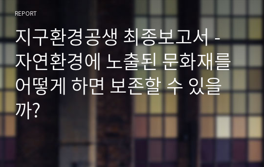 지구환경공생 최종보고서 - 자연환경에 노출된 문화재를 어떻게 하면 보존할 수 있을까?