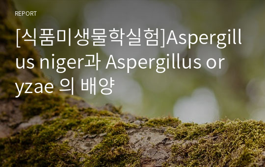 [식품미생물학실험]Aspergillus niger과 Aspergillus oryzae 의 배양