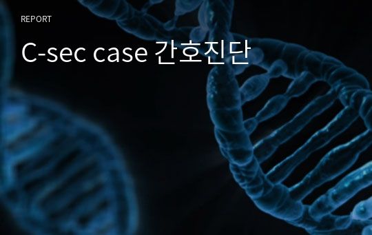 C-sec case 간호진단