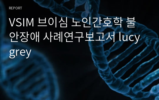 VSIM 브이심 노인간호학 불안장애 사례연구보고서 lucy grey