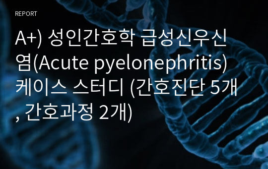 A+) 성인간호학 급성신우신염(Acute pyelonephritis) 케이스 스터디 (간호진단 5개, 간호과정 2개)