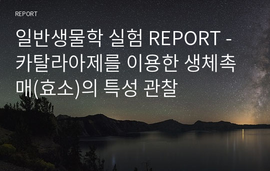 일반생물학 실험 REPORT - 카탈라아제를 이용한 생체촉매(효소)의 특성 관찰