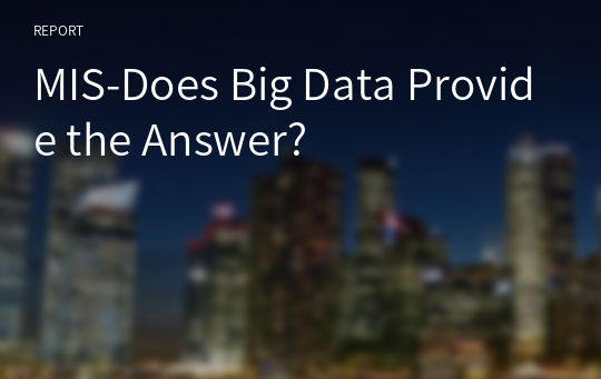 MIS-Does Big Data Provide the Answer?