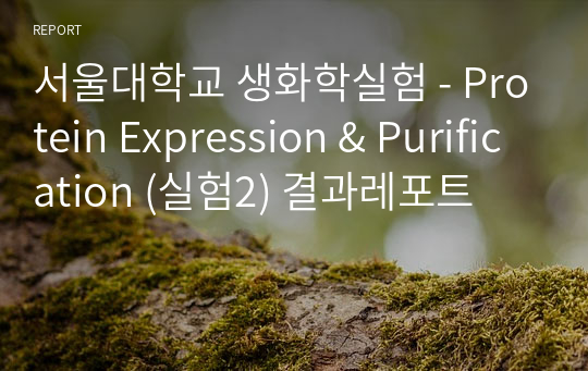 서울대학교 생화학실험 - Protein Expression &amp; Purification (실험2) 결과레포트