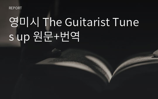 영미시 The Guitarist Tunes up 원문+번역