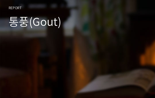 통풍(Gout)