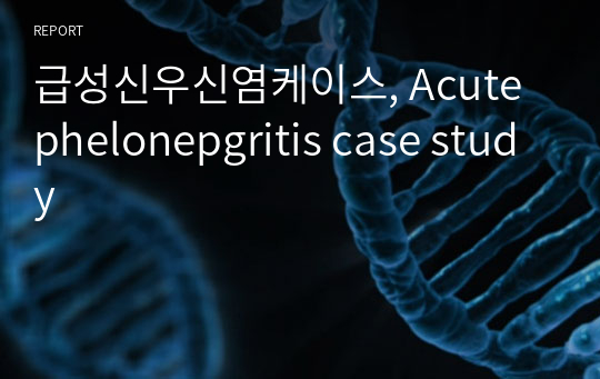 급성신우신염케이스, Acute phelonepgritis case study