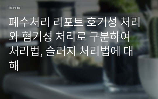 폐수처리 리포트 호기성 처리와 혐기성 처리로 구분하여 처리법, 슬러지 처리법에 대해