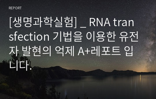 [생명과학실험] _ RNA transfection 기법을 이용한 유전자 발현의 억제 A+레포트 입니다.