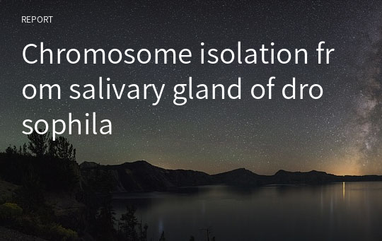 Chromosome isolation from salivary gland of drosophila