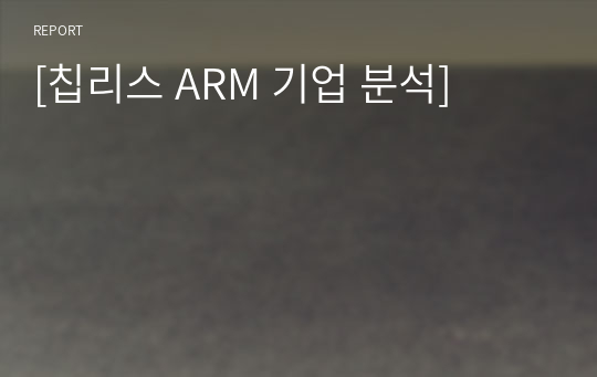 [칩리스 ARM 기업 분석]