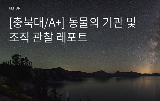 [충북대/A+] 동물의 기관 및 조직 관찰 레포트