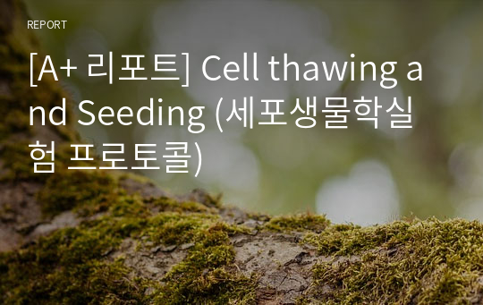[A+ 리포트] Cell thawing and Seeding (세포생물학실험 프로토콜)