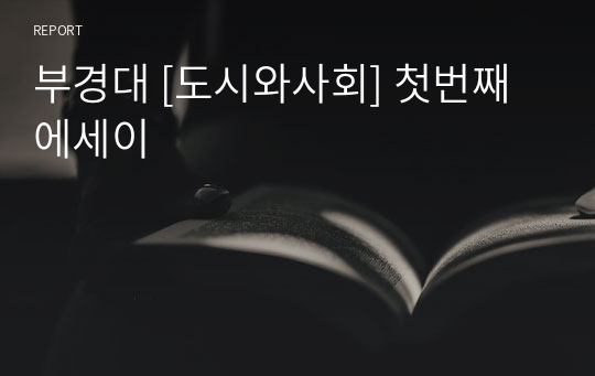 부경대 [도시와사회] 첫번째 에세이