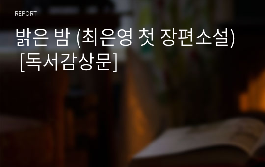 밝은 밤 (최은영 첫 장편소설) [독서감상문]