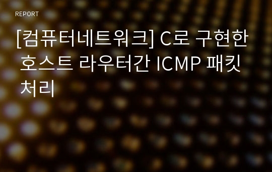 [컴퓨터네트워크] C로 구현한 호스트 라우터간 ICMP 패킷 처리